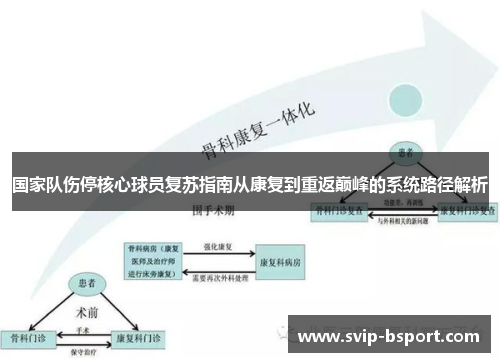 国家队伤停核心球员复苏指南从康复到重返巅峰的系统路径解析 国家队伤停核心球员复苏指南从康复到重返巅峰的系统路径解析